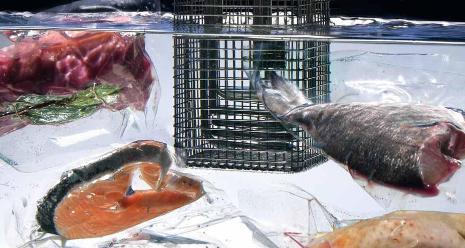 Купить Аппараты Sous Vide – профессиональное оборудование для приготовления на высшем уровне